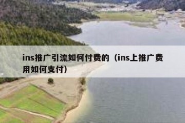 ins推广引流如何付费的（ins上推广费用如何支付）