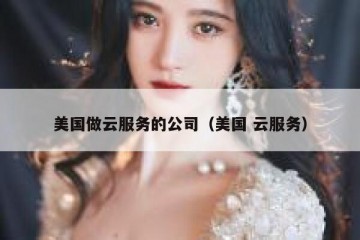 美国做云服务的公司（美国 云服务）