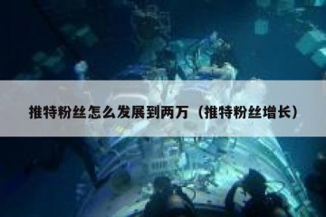 推特粉丝怎么发展到两万（推特粉丝增长）