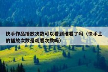 快手作品播放次数可以看到谁看了吗（快手上的播放次数是观看次数吗）