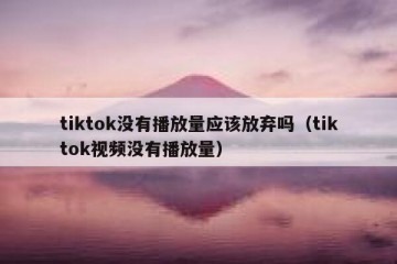 tiktok没有播放量应该放弃吗（tiktok视频没有播放量）