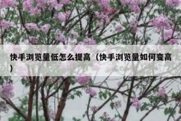 快手浏览量低怎么提高（快手浏览量如何变高）