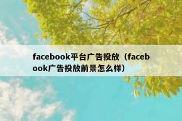 facebook平台广告投放（facebook广告投放前景怎么样）