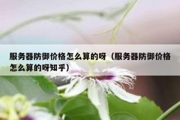 服务器防御价格怎么算的呀（服务器防御价格怎么算的呀知乎）