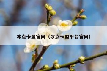 冰点卡盟官网（冰点卡盟平台官网）