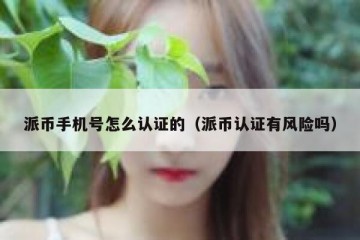 派币手机号怎么认证的（派币认证有风险吗）