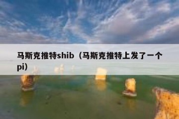 马斯克推特shib（马斯克推特上发了一个pi）
