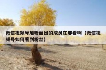 微信视频号加粉丝团的成员在那看啊（微信视频号如何看到粉丝）