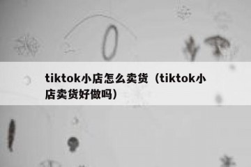 tiktok小店怎么卖货（tiktok小店卖货好做吗）