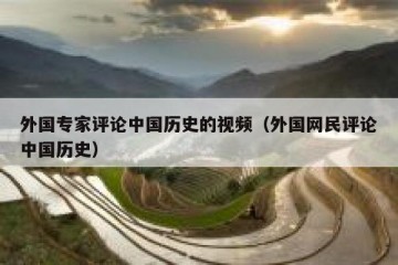 外国专家评论中国历史的视频（外国网民评论中国历史）