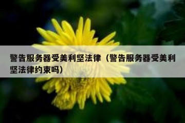 警告服务器受美利坚法律（警告服务器受美利坚法律约束吗）