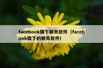 facebook旗下聊天软件（facebook旗下的聊天软件）