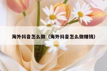 海外抖音怎么做（海外抖音怎么做赚钱）