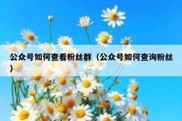 公众号如何查看粉丝群（公众号如何查询粉丝）