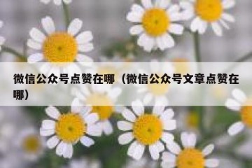 微信公众号点赞在哪（微信公众号文章点赞在哪）