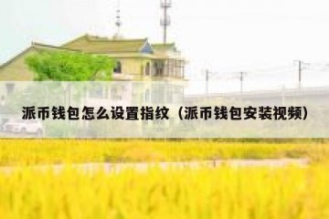派币钱包怎么设置指纹（派币钱包安装视频）