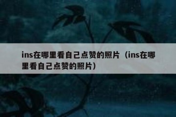 ins在哪里看自己点赞的照片（ins在哪里看自己点赞的照片）