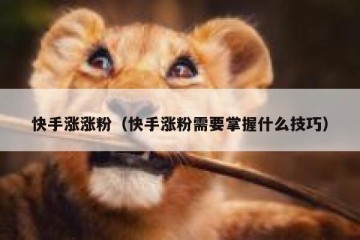 快手涨涨粉（快手涨粉需要掌握什么技巧）