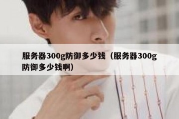 服务器300g防御多少钱（服务器300g防御多少钱啊）