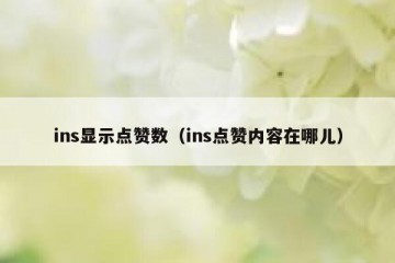 ins显示点赞数（ins点赞内容在哪儿）