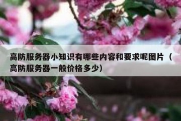 高防服务器小知识有哪些内容和要求呢图片（高防服务器一般价格多少）
