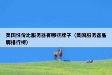 美国性价比服务器有哪些牌子（美国服务器品牌排行榜）