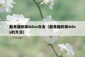 服务器防御ddos攻击（服务器防御ddos的方法）