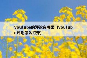 youtube的评论在哪里（youtube评论怎么打开）