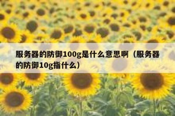 服务器的防御100g是什么意思啊（服务器的防御10g指什么）