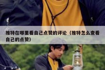 推特在哪里看自己点赞的评论（推特怎么查看自己的点赞）