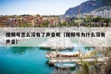 视频号怎么没有了声音呢（视频号为什么没有声音）