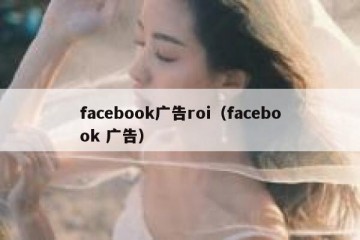 facebook广告roi（facebook 广告）