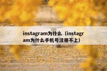 instagram为什么（instagram为什么手机号注册不上）