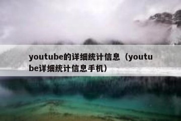 youtube的详细统计信息（youtube详细统计信息手机）