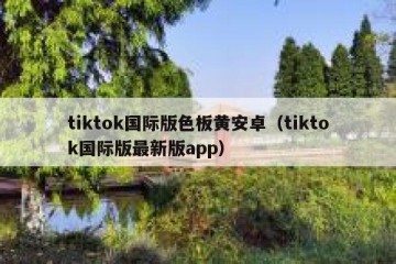 tiktok国际版色板黄安卓（tiktok国际版最新版app）