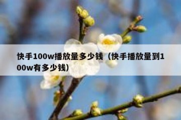 快手100w播放量多少钱（快手播放量到100w有多少钱）