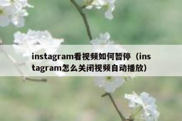 instagram看视频如何暂停（instagram怎么关闭视频自动播放）