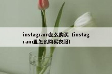 instagram怎么购买（instagram里怎么购买衣服）
