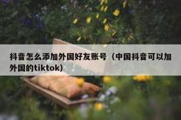 抖音怎么添加外国好友账号（中国抖音可以加外国的tiktok）