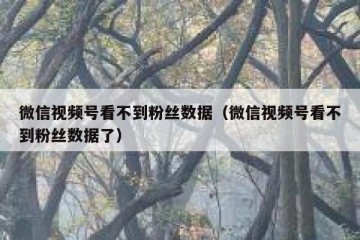 微信视频号看不到粉丝数据（微信视频号看不到粉丝数据了）