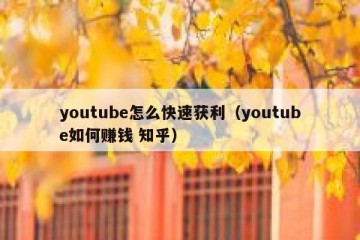 youtube怎么快速获利（youtube如何赚钱 知乎）