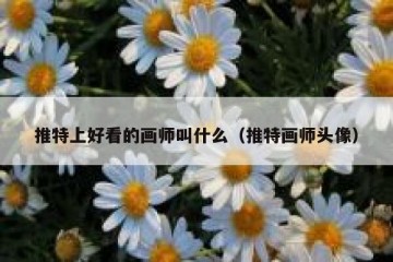 推特上好看的画师叫什么（推特画师头像）