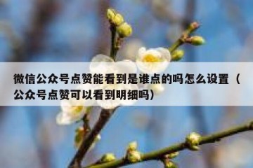 微信公众号点赞能看到是谁点的吗怎么设置（公众号点赞可以看到明细吗）