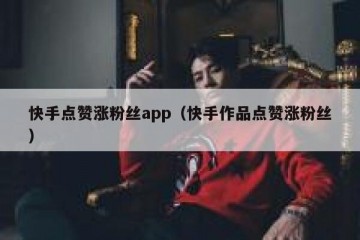 快手点赞涨粉丝app（快手作品点赞涨粉丝）