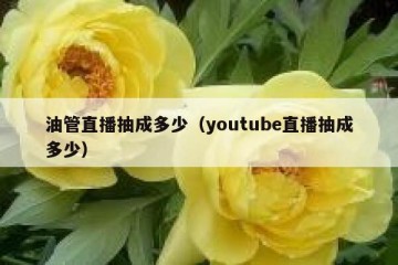 油管直播抽成多少（youtube直播抽成多少）