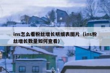 ins怎么看粉丝增长明细表图片（ins粉丝增长数量如何查看）