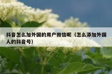 抖音怎么加外国的用户微信呢（怎么添加外国人的抖音号）