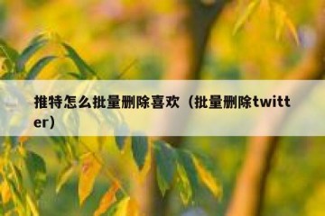 推特怎么批量删除喜欢（批量删除twitter）