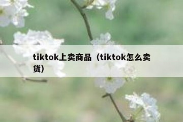tiktok上卖商品（tiktok怎么卖货）