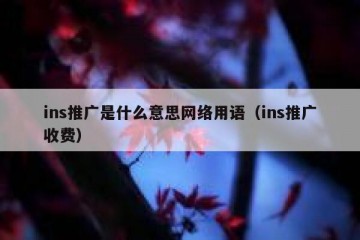 ins推广是什么意思网络用语（ins推广收费）